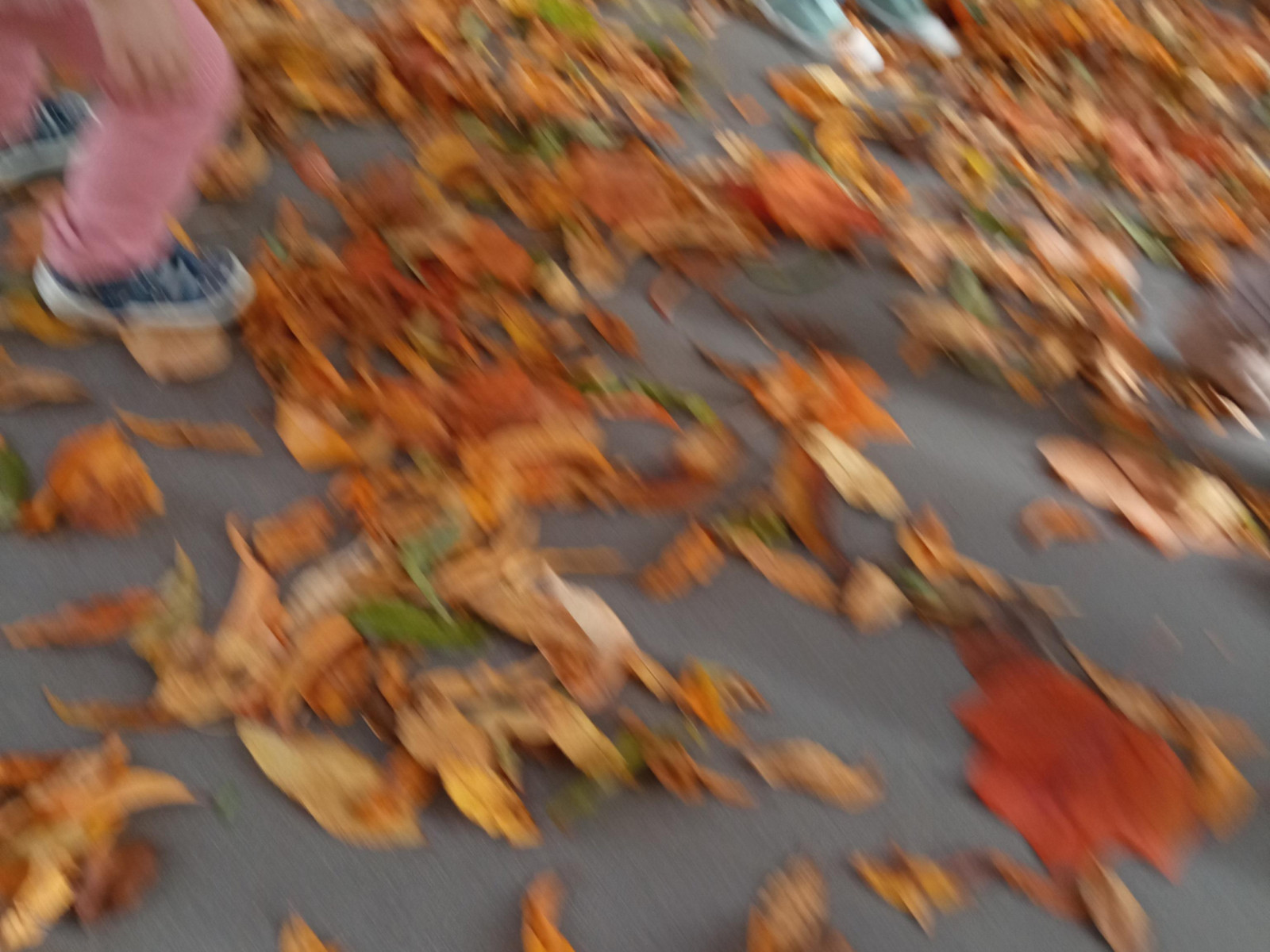Kinder spielen drinnen auf einem Boden, der mit buntem Herbstlaub bedeckt ist.