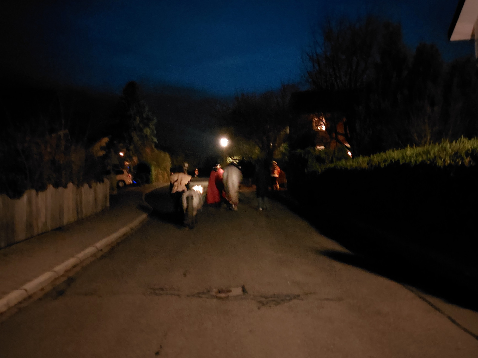 Menschen und Pferde gehen bei Dämmerung eine ruhige Wohnstraße entlang.